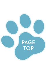 PAGE TOPと書いてある肉球